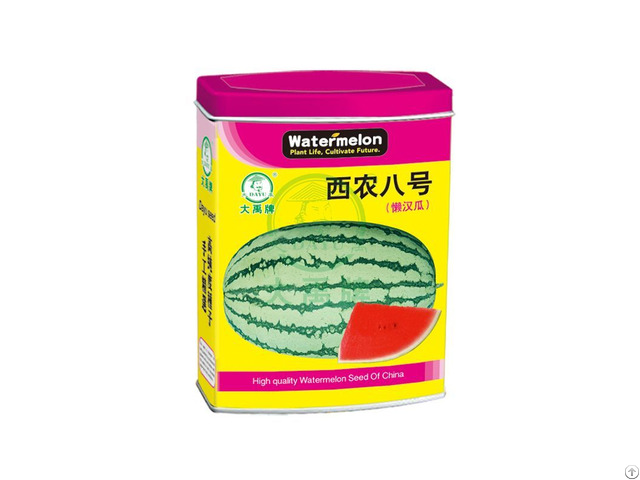 China Pumpkin Seeds Manufacturer