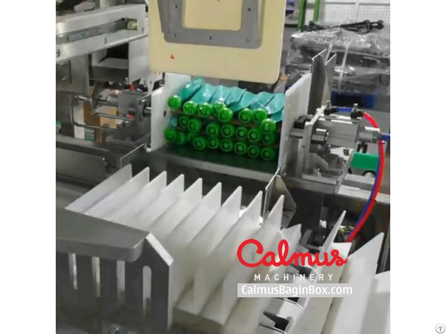 Carton Packaging Machine For Doypack Pouches