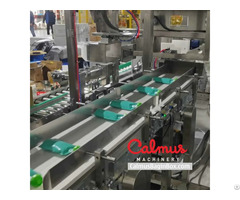 Pouch Packaging Machine For Cartoning Doypacks