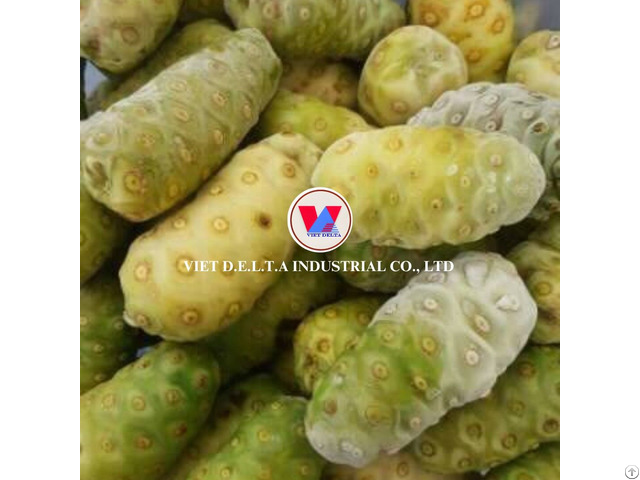 Frozen Noni Fruit Keeps Full Nutrition Supplements Health From The Root