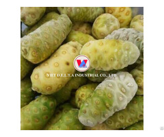 Frozen Noni Fruit Keeps Full Nutrition Supplements Health From The Root