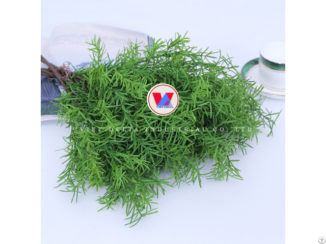 Rosemary Small But Diverse