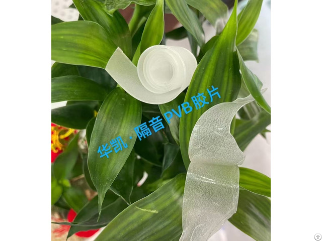 Construction Glass Film