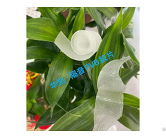 Construction Glass Film