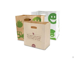 Popular Die Cut Paper Bag