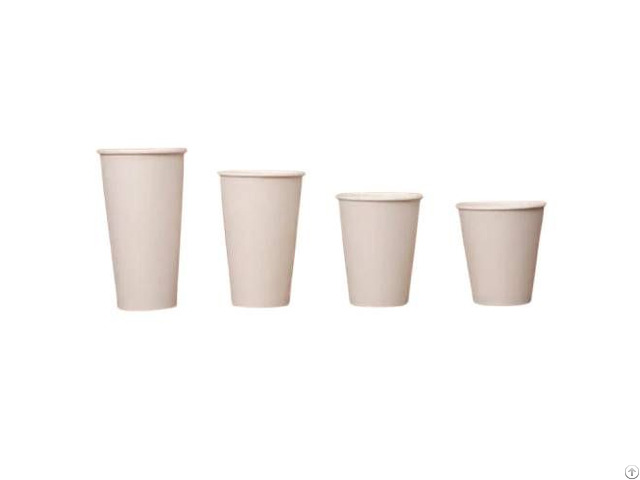Paper Cups In Disposable