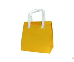 Non Woven Thermal Insulation Bag