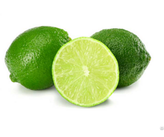 Fresh Lemon From Vietnam Ready To Import