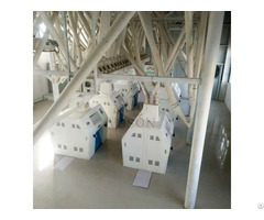 100tpd Maize Flour Milling Plant
