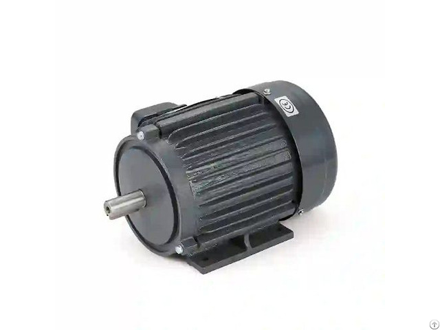 Custom Electric Motor