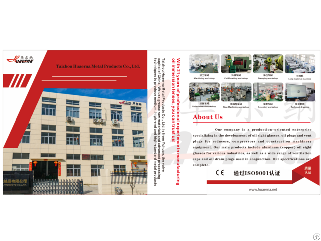 Company Profile