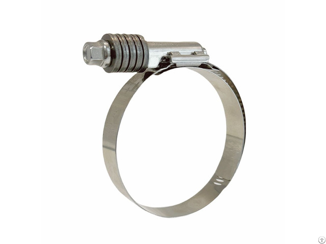 China 15 8mm Constant Tension Heavy Duty Hose Clamp