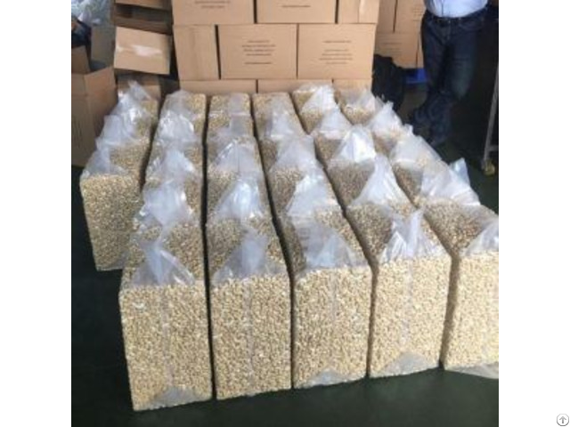 White Cashew Nuts For Sale