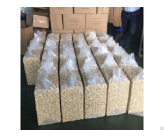 White Cashew Nuts For Sale