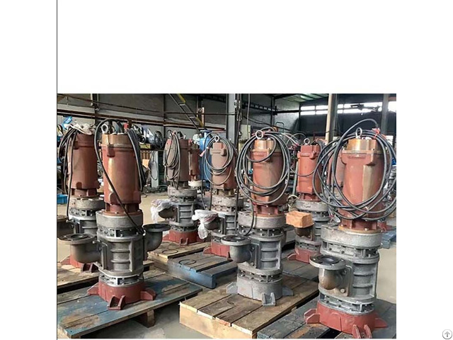 Rzsw 65 Submersible Roots Blower