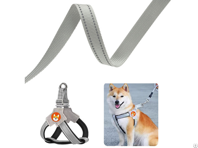 Premium Pet Webbing Solutions Safety Customization And Reflective Designs By Elesa