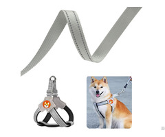 Premium Pet Webbing Solutions Safety Customization And Reflective Designs By Elesa