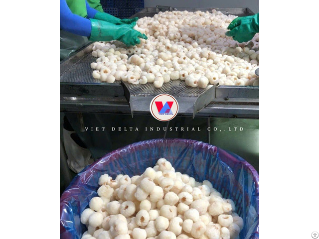 Frozen Lychee Supplier
