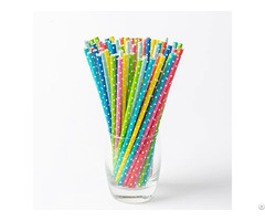 Biodegradable Paper Straws Bulk