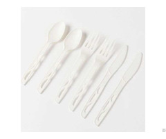 Biodegradable Disposable Cutlery