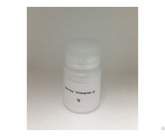 Palmitoyl Tetrapeptide 20 Reverses Hair Greying Process