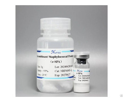 Recombinant Staphylococcal Protein A