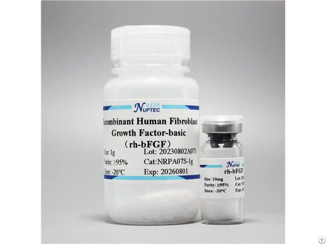 Recombinant Human Fibroblast Growth Factor Basic