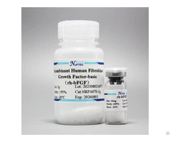 Recombinant Human Fibroblast Growth Factor Basic