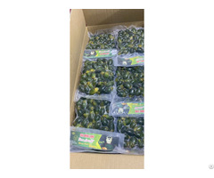 Frozen Palm Nut Betel