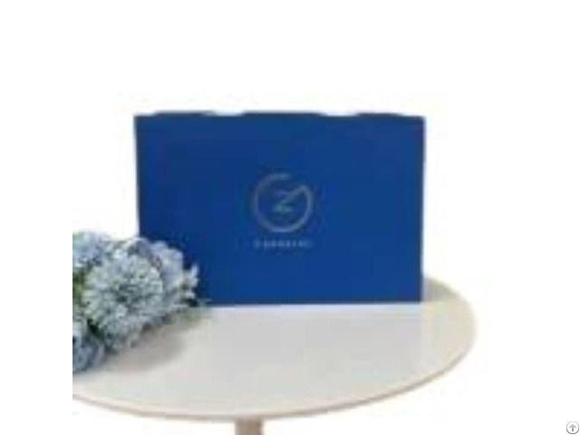 Blue High End Handbag Gift Bag Custom Wholesale