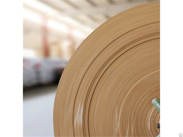 Cellulase Manufacturer