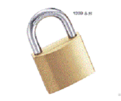 Padlock Pin