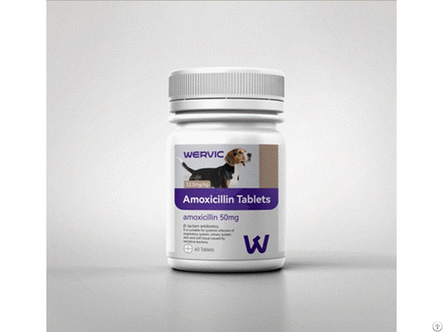 Bulk Antibiotics For Pets