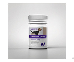 Bulk Antibiotics For Pets