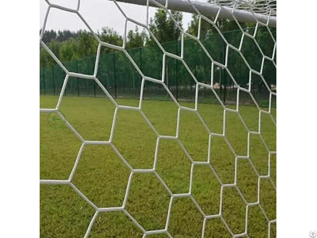 Gold Hongye Football Net