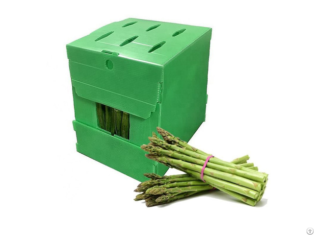 Pp Corrugated Sheet Manufacturer