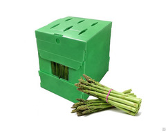 Pp Corrugated Sheet Manufacturer