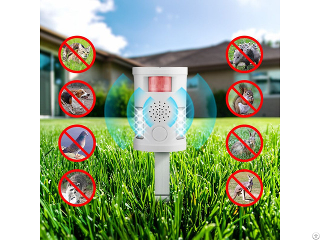 Bird Repeller With Batteries Electrical Power