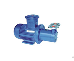 Rynwb Magnetic Driven Vortex Pump