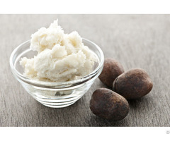 Shea And Cocoa Butter In Morocco Bioprogreen