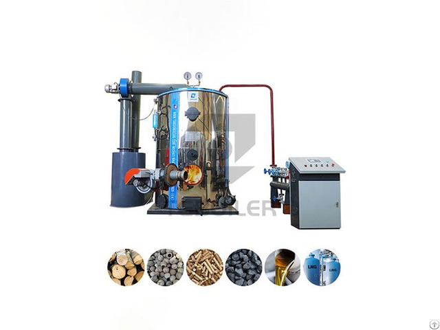 Lhsg Multi Fuel Steam Boiler