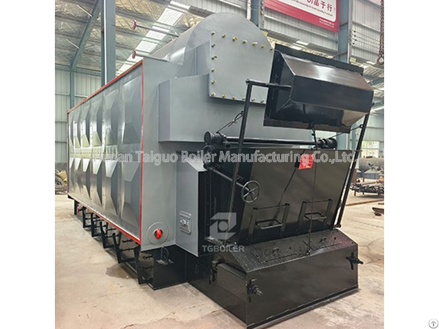 Tgboiler Dzl Series Biomass Coal Fired Steam Boiler