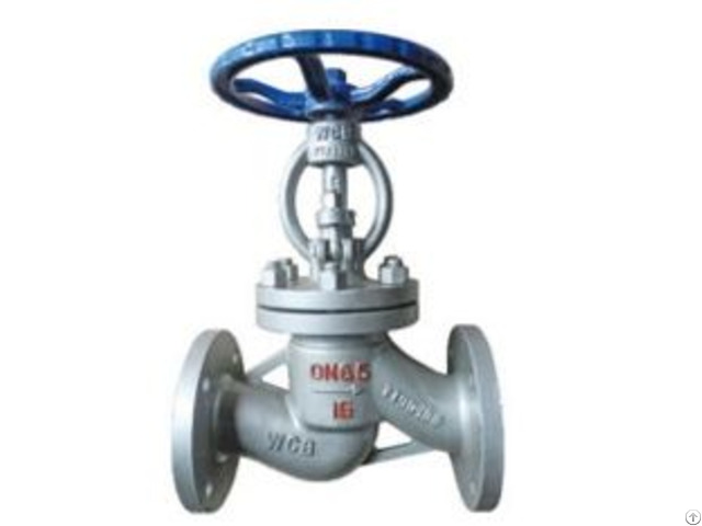 Plunger Globe Valve