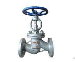 Plunger Globe Valve