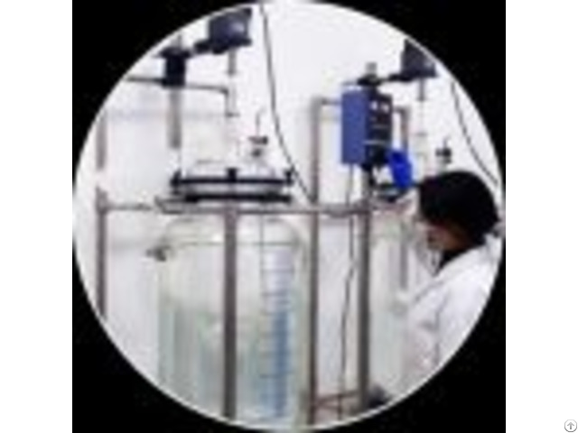 Custom Peptide Synthesis Services