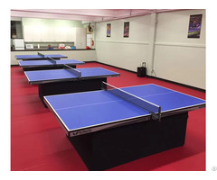 An Pvc Table Tennis Flooring