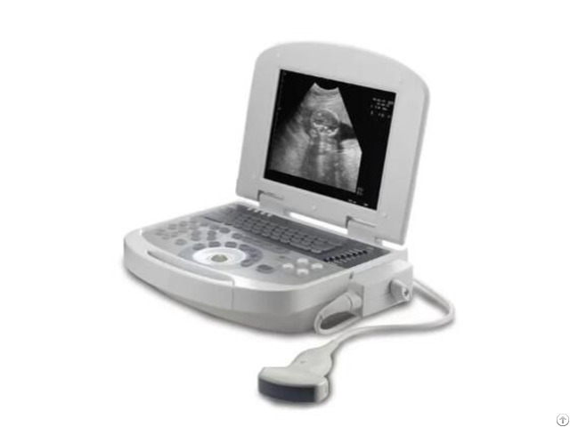 Full Digital Veterinary Ultrasound Lmaging