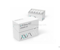 Dna Methylation Kits