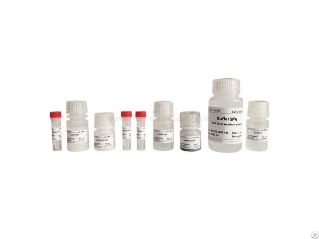 Comprehensive Molecular Biology Services