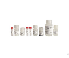 Comprehensive Molecular Biology Services